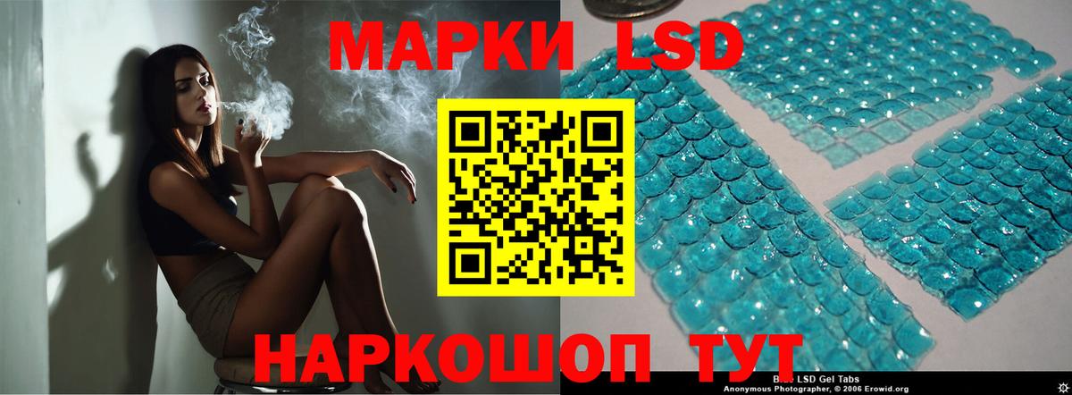 Шелехов  ЛСД экстази кислота  гидра как войти  Вход с VPN  LSD-25 экстази кислота 